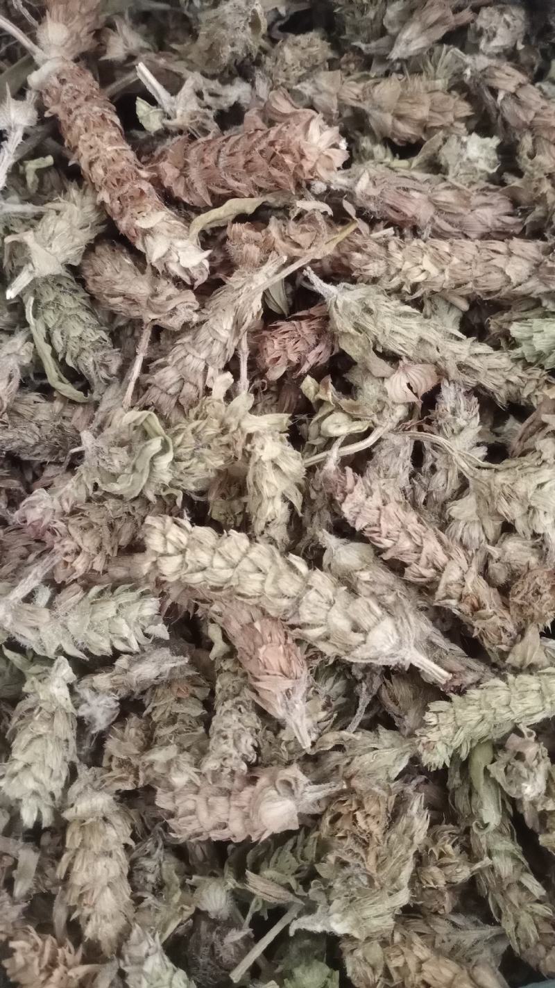 【夏枯球】产地河南实物拍摄一手货源大货供应规格齐全量大优