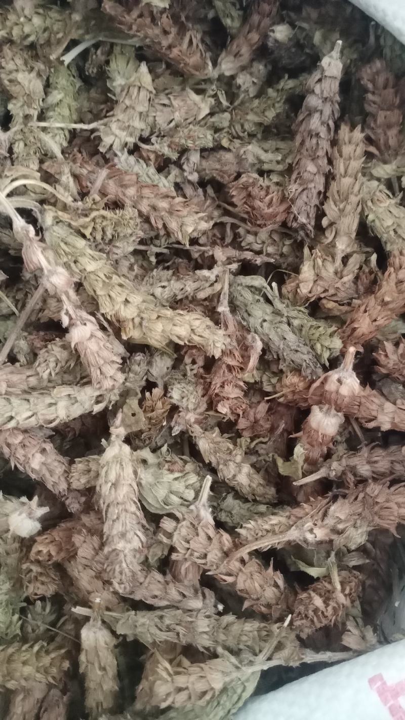 【夏枯球】产地河南实物拍摄一手货源大货供应规格齐全量大优