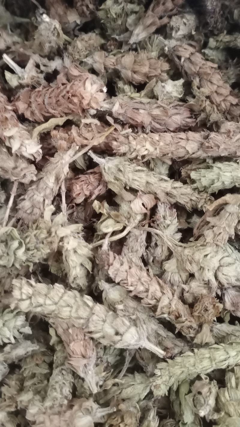 【夏枯球】产地河南实物拍摄一手货源大货供应规格齐全量大优