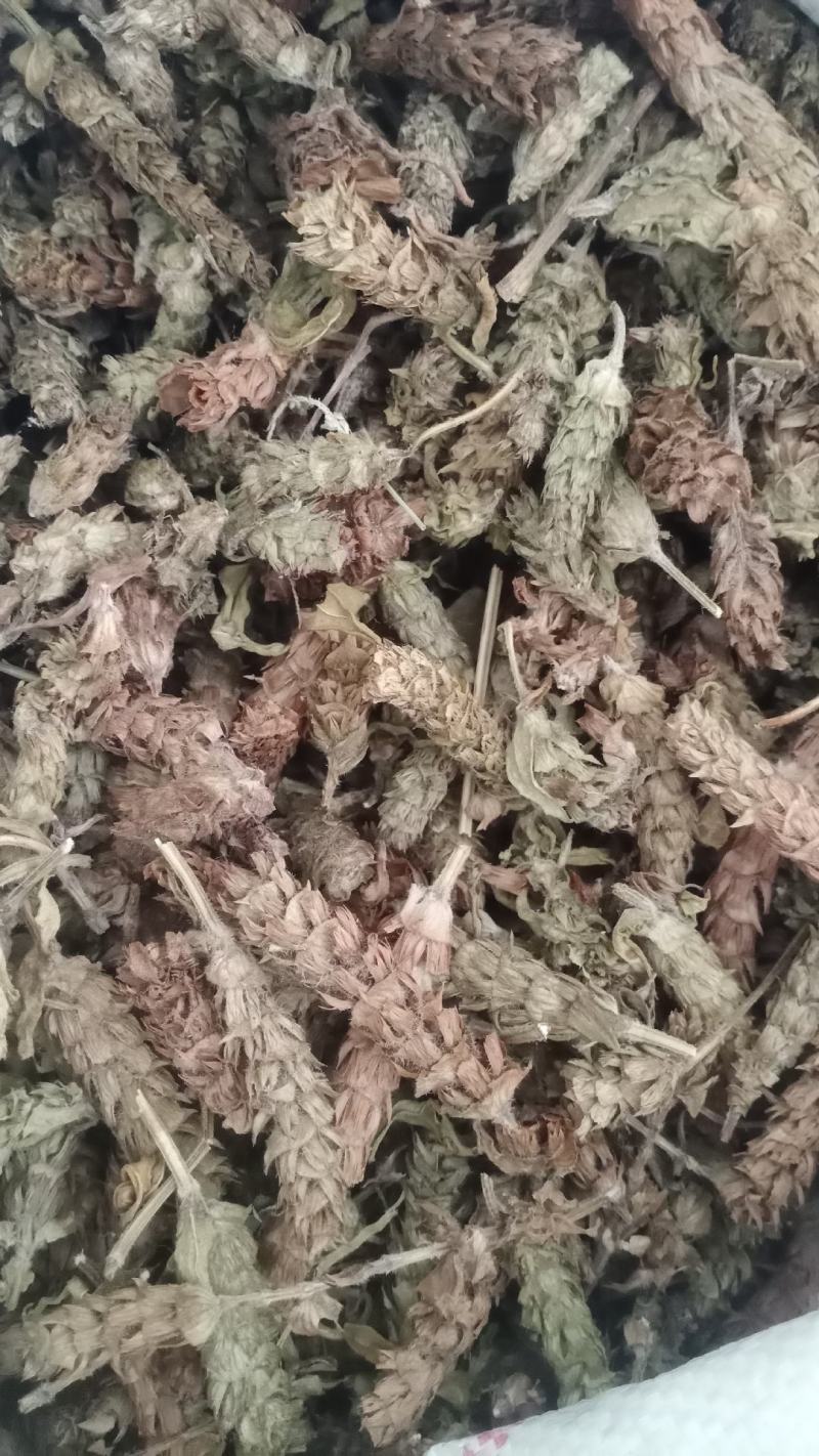 【夏枯球】产地河南实物拍摄一手货源大货供应规格齐全量大优