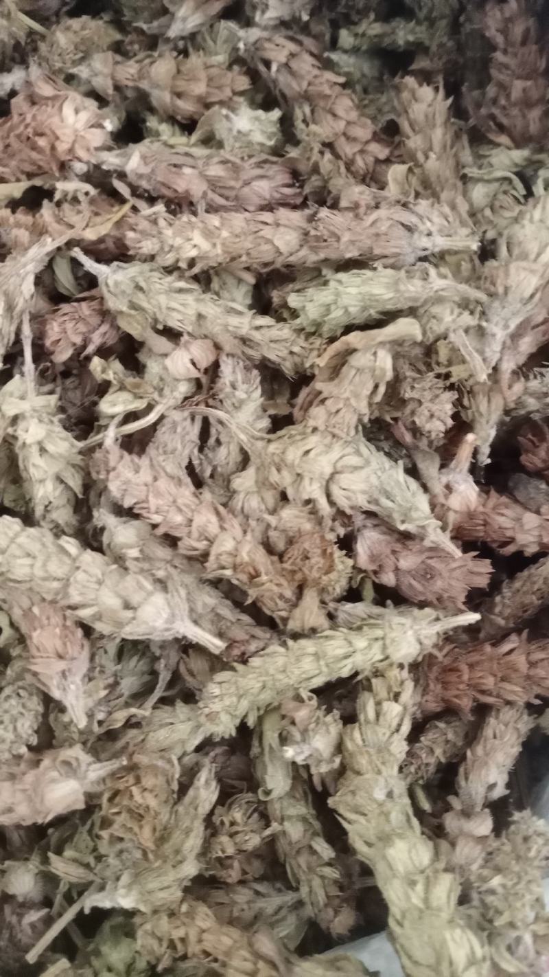【夏枯球】产地河南实物拍摄一手货源大货供应规格齐全量大优