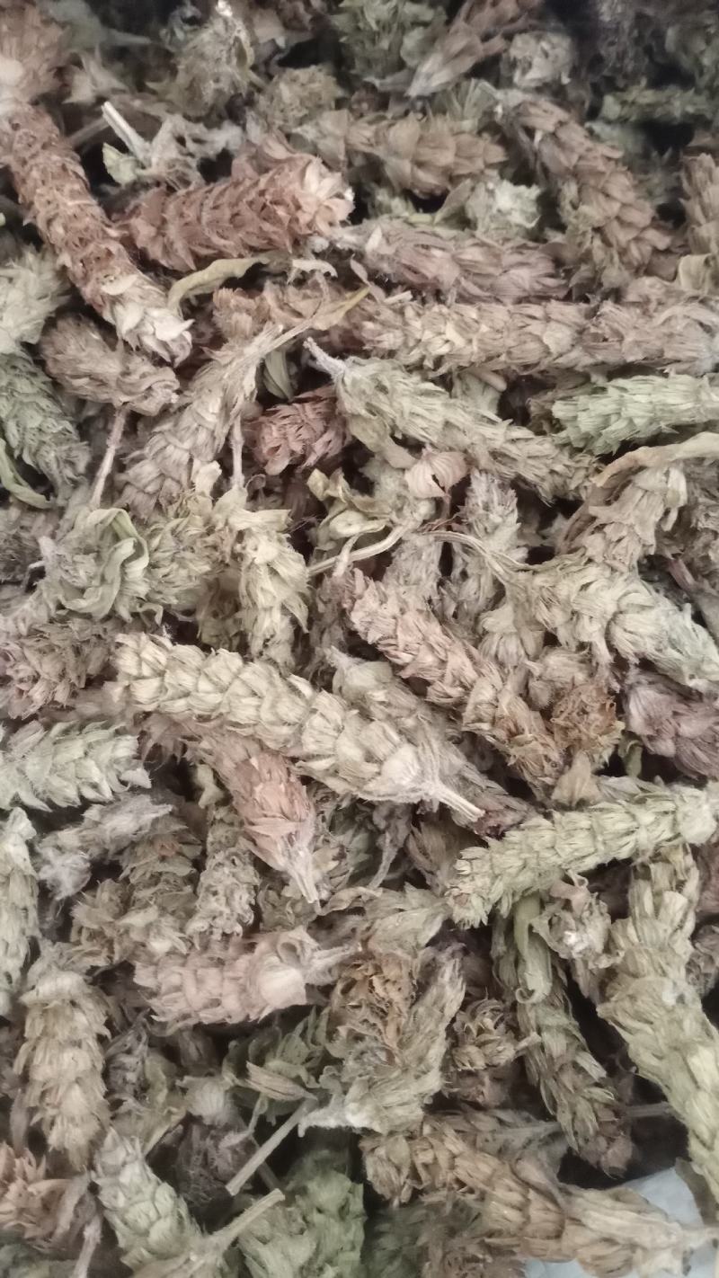 【夏枯球】产地河南实物拍摄一手货源大货供应规格齐全量大优