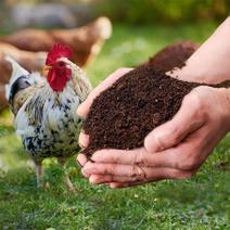 【推荐】精选优质鸡粪厂家直销适合果蔬蔬菜保质保量