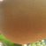 丰水梨