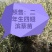 四翅滨藜苗