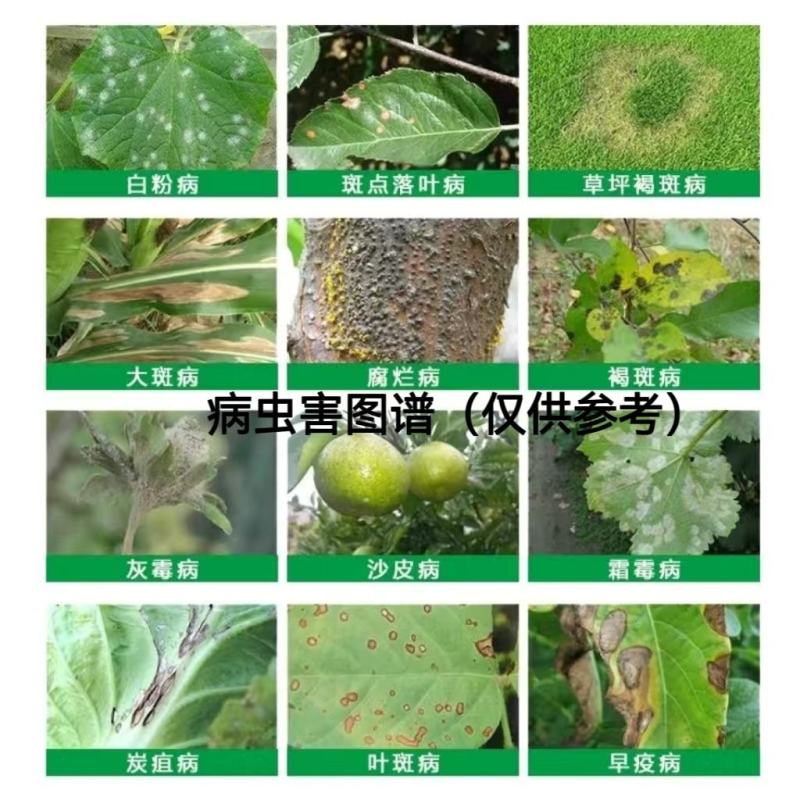 【热卖】25%吡唑醚菌酯杀菌剂叶斑病霜霉病叶枯病条锈病褐斑