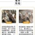 优质珍珠鸡活体鸡苗现货活苗半大珍珠鸡养殖场直销现货珍珠鸡