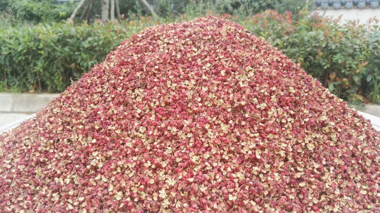 炒香辣椒和花椒