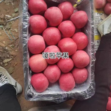 嗄啦苹果