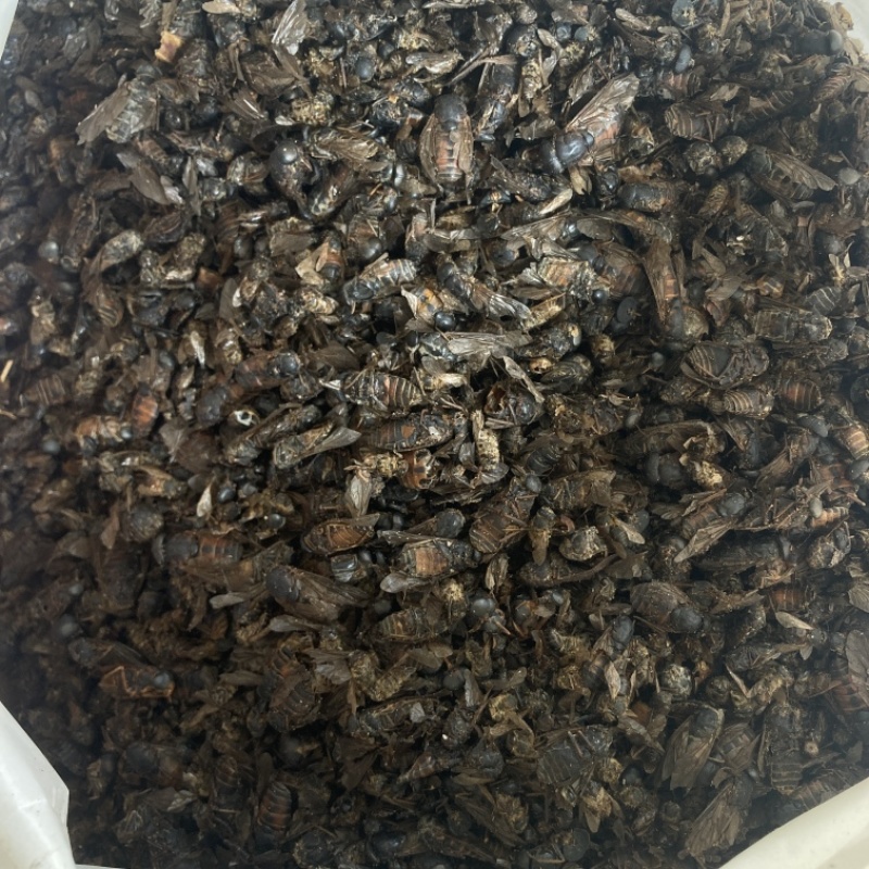 水蛭选货另经营其他药材2种，可打粉或小包装
