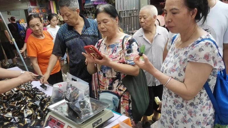 新品芝麻丸地摊跑江湖厂家批发黑芝麻丸坚果丸子独立包装零食