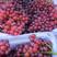 精品-红宝石葡萄-一手货源-质量保障-量大从优-全国供应