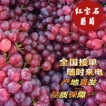 精品-红宝石葡萄-一手货源-质量-量大从优-全国供应