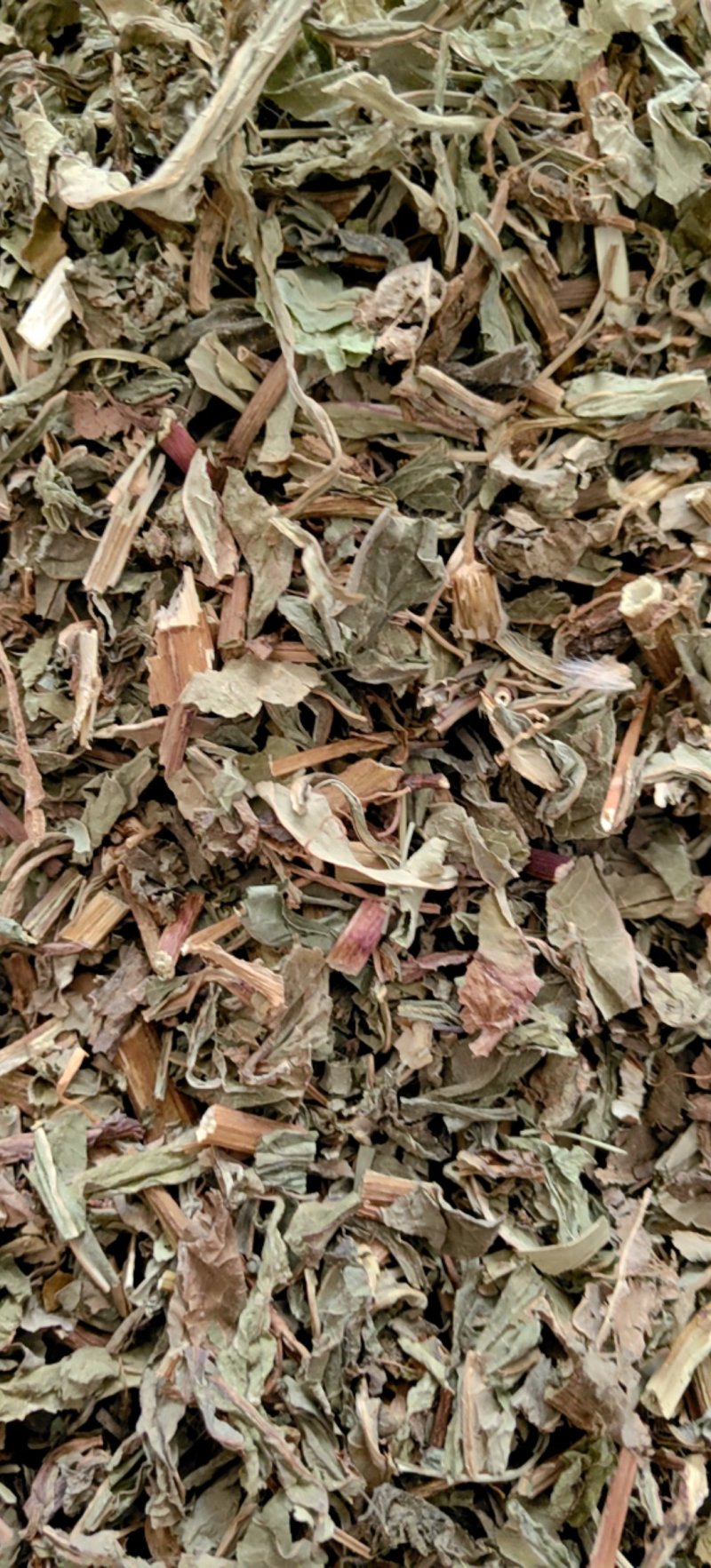 败酱草北败酱货好干净过0.2筛新货产地直销一手货源
