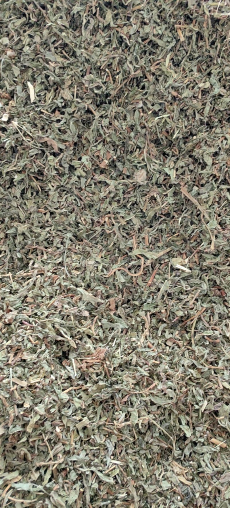 败酱草北败酱货好干净过0.2筛新货产地直销一手货源