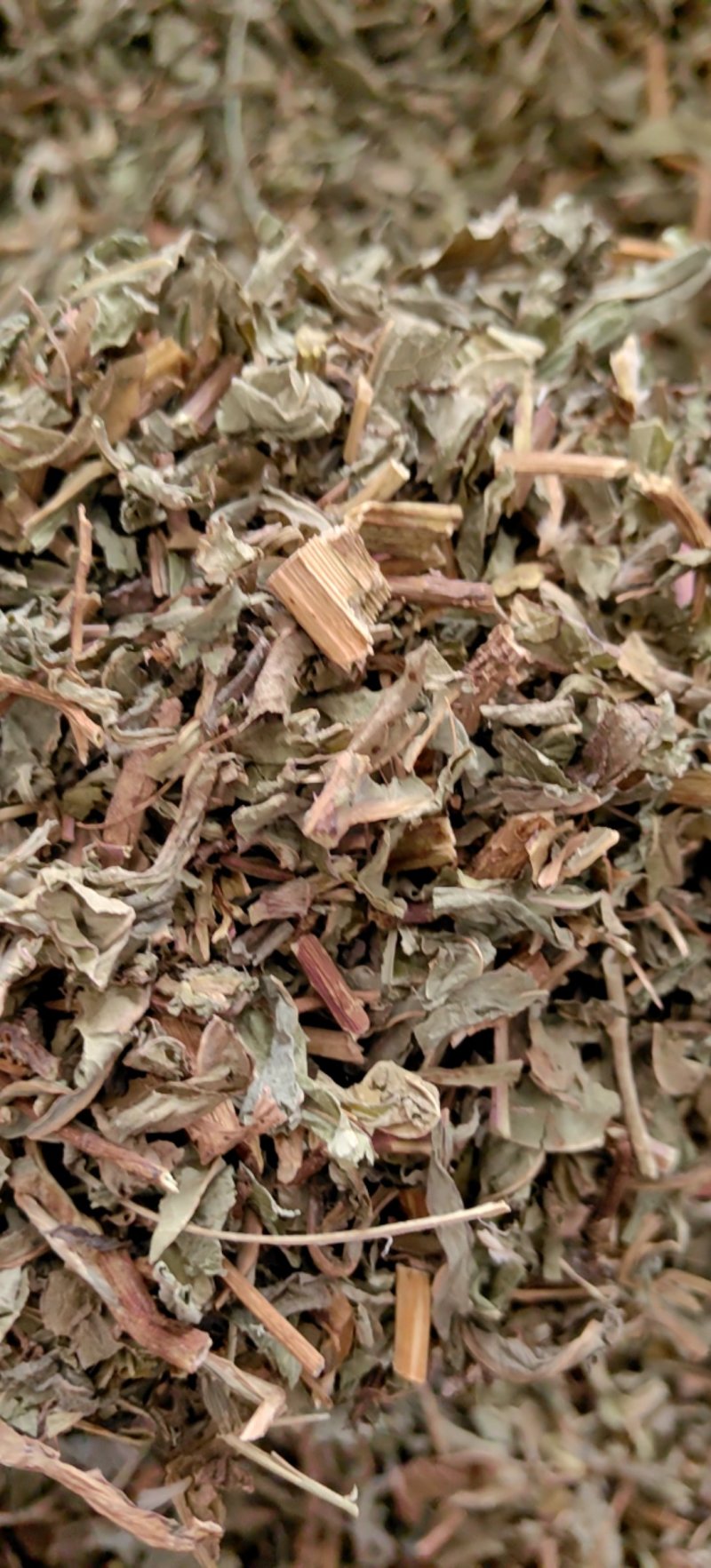 败酱草北败酱货好干净过0.2筛新货产地直销一手货源
