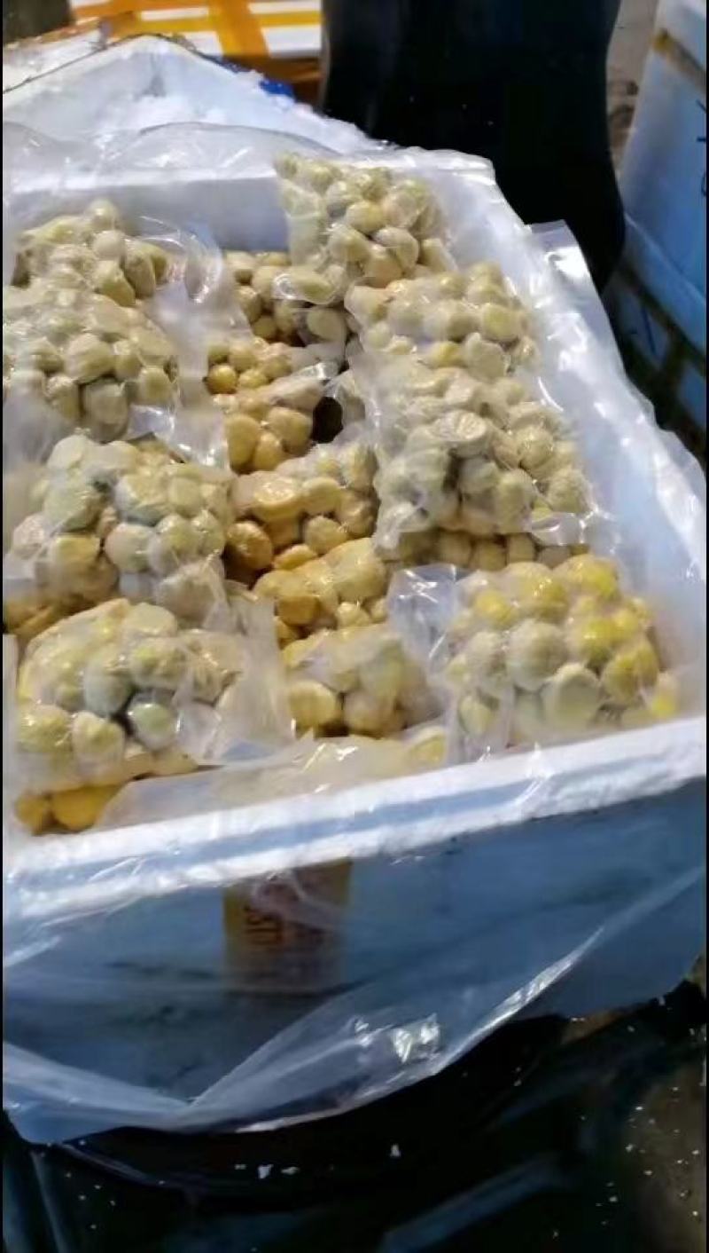 板栗果肉，板栗肉批发，健康味美，品质保证放心食用