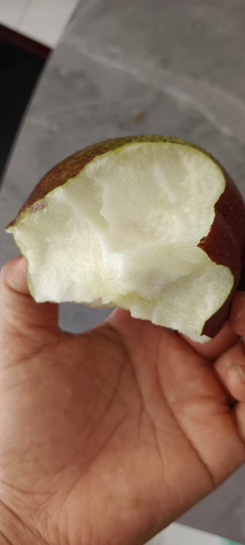 彩虹梨