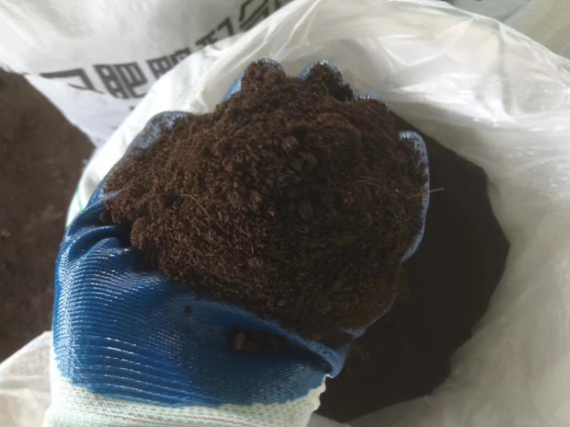 广东养殖场直供优质猪粪大量供应品质保证欢迎致电