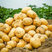 河北沃土土豆产地一手货源有成立的合作社，欢迎各位老板前来咨询