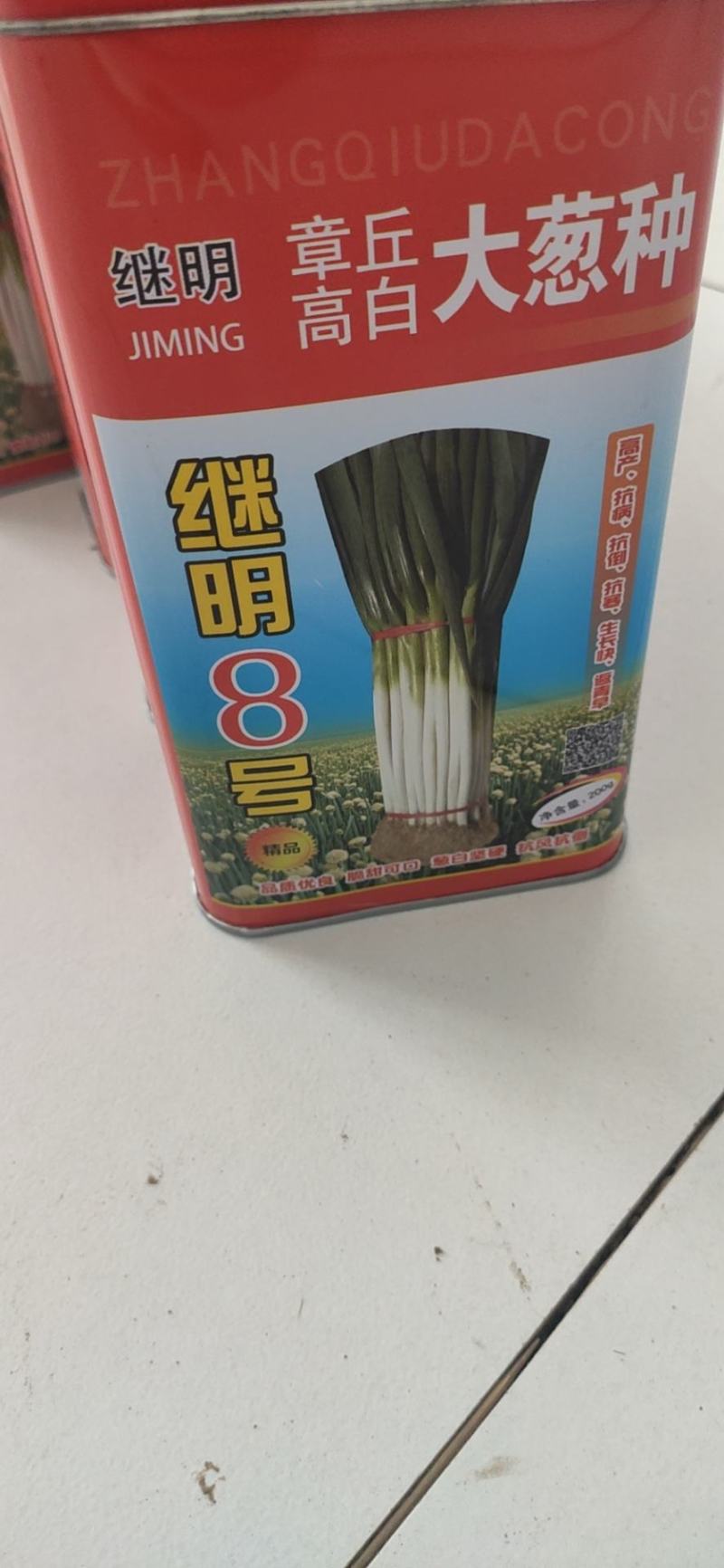 章丘继明八号章丘大梧桐葱种子葱白长抗病性强好种植产量高
