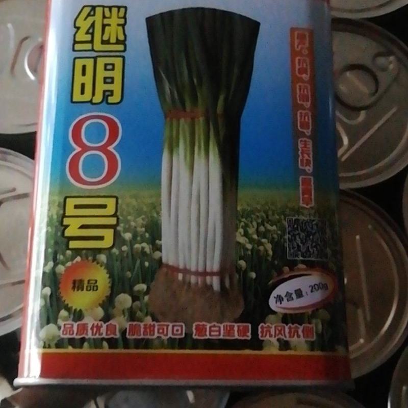章丘继明八号章丘大梧桐葱种子葱白长抗病性强好种植产量高