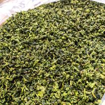 高山铁观音茶叶浓香型中国名茶铁观音绿茶铁观音生茶清香型茶