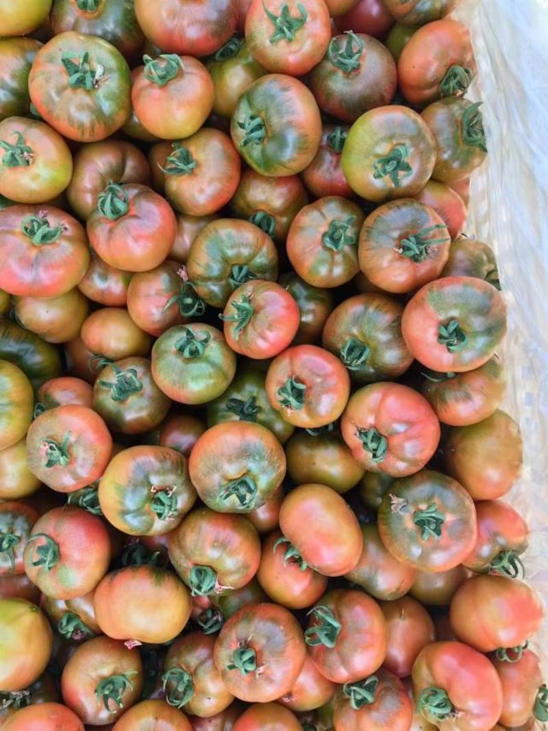包邮！草莓番茄——秋之恋。耐裂脆甜，抗病毒能力比较好
