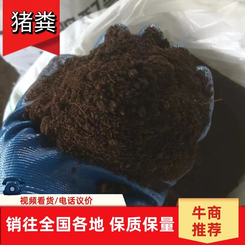广东养殖场直供优质猪粪大量供应品质保证欢迎致电