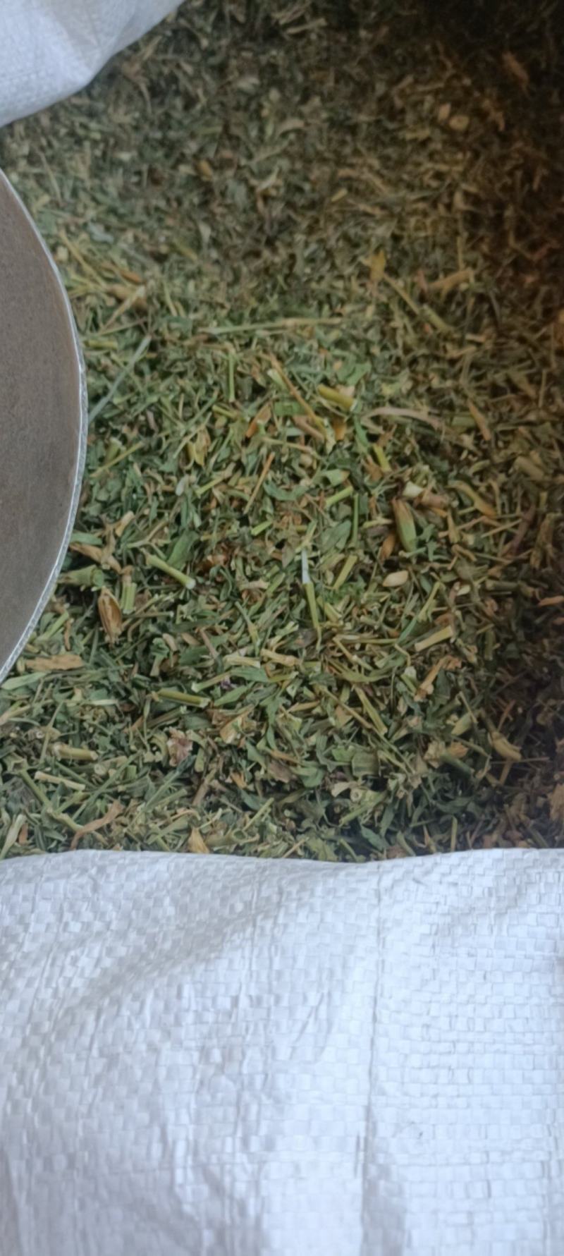 瞿麦，新货一手货源，量大从优，支持在线下单