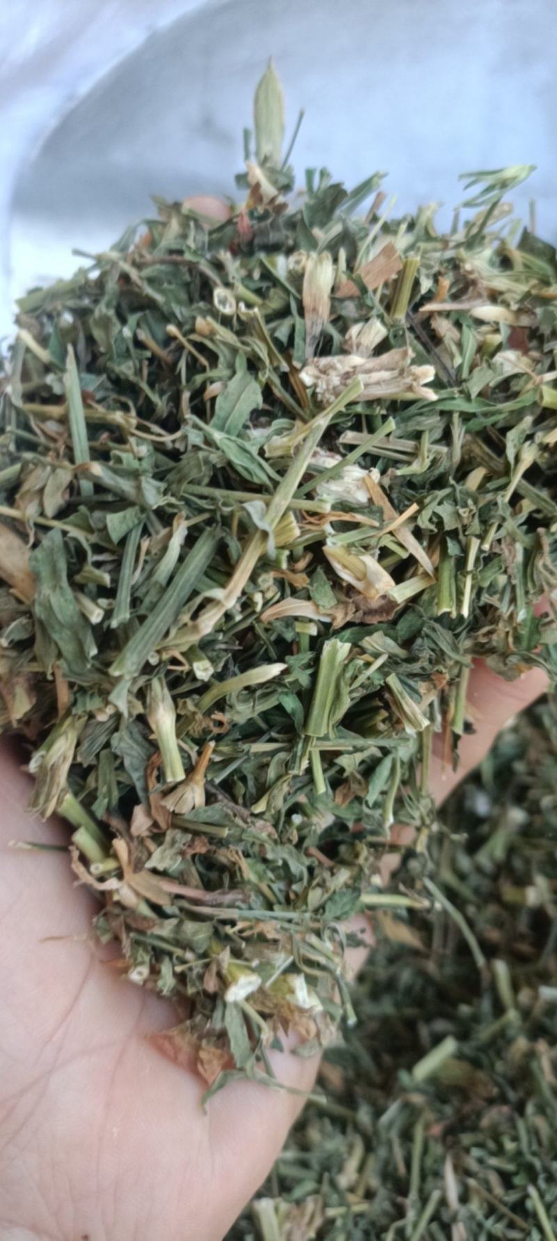 瞿麦，新货一手货源，量大从优，支持在线下单
