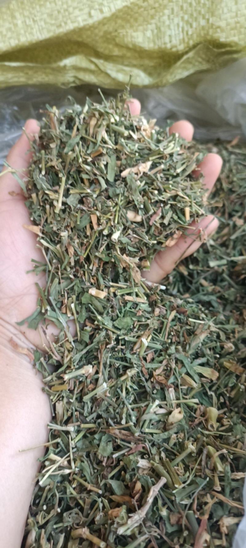 瞿麦，新货一手货源，量大从优，支持在线下单