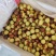 新疆牛奶蜜枣现采现发空运落地配每天现发只做精品好