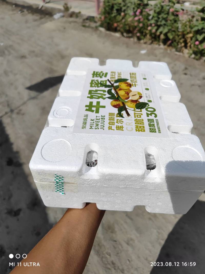 新疆牛奶蜜枣现采现发空运落地配每天现发只做精品好