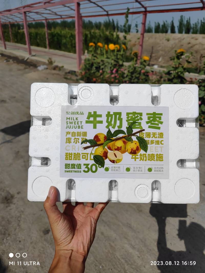 新疆牛奶蜜枣现采现发空运落地配每天现发只做精品好