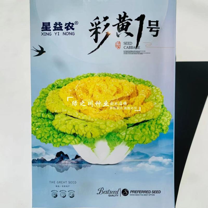 彩黄1号F1黄心乌种子腊月乌菜一代杂交耐寒黄心菜种子