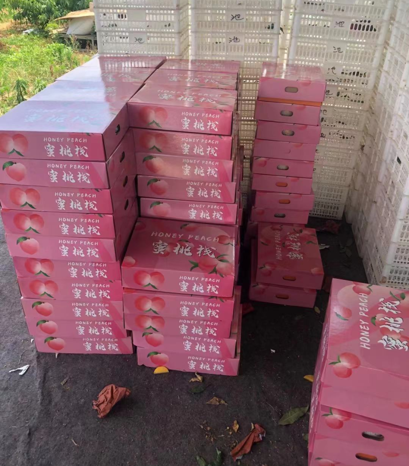 水蜜桃10斤礼盒装