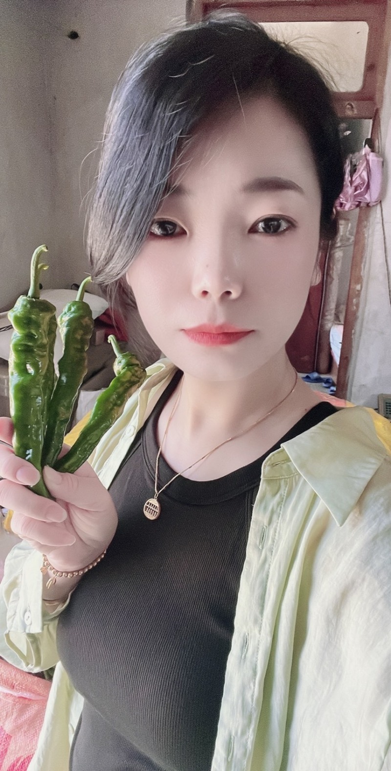 小皱皮辣椒山东辣椒大量上市产地直发实力代办代发
