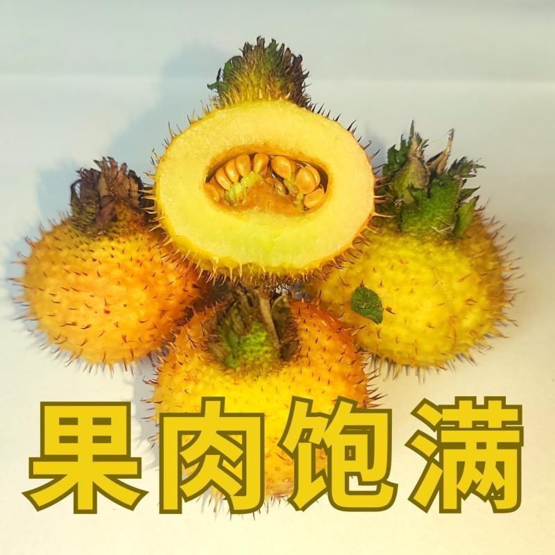 贵州野生刺梨