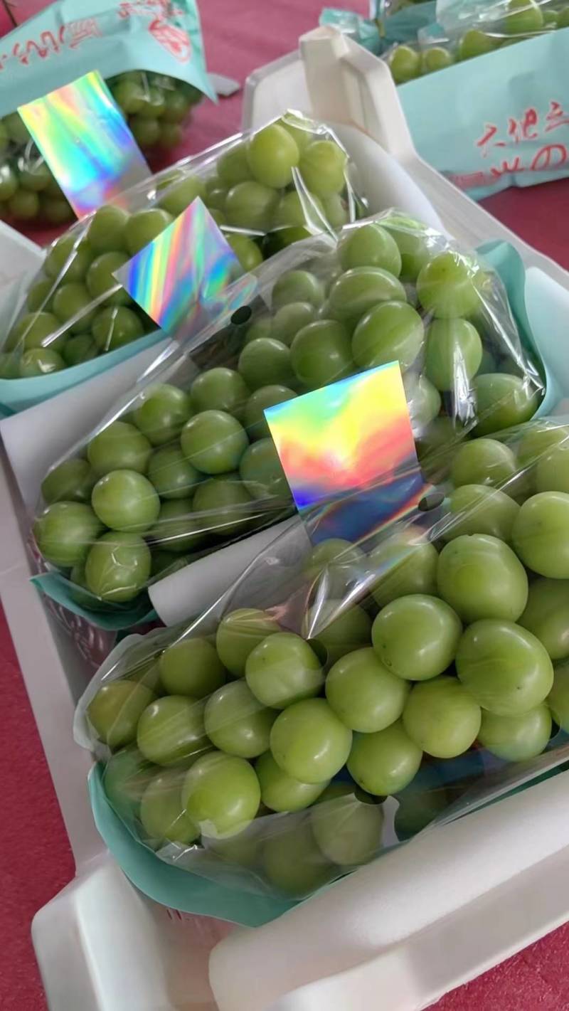 陕西阳光玫瑰葡萄，质量保证价格实惠，欢迎洽谈