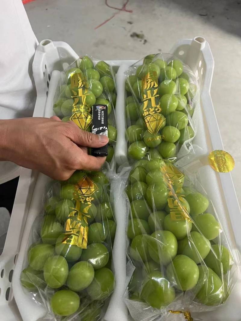 陕西阳光玫瑰葡萄，质量保证价格实惠，欢迎洽谈