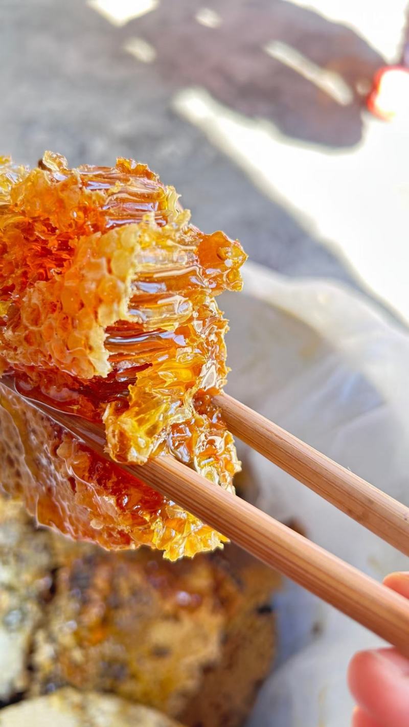 北川羌族高山野蜂蜜，放在深山老林的土蜂蜜
