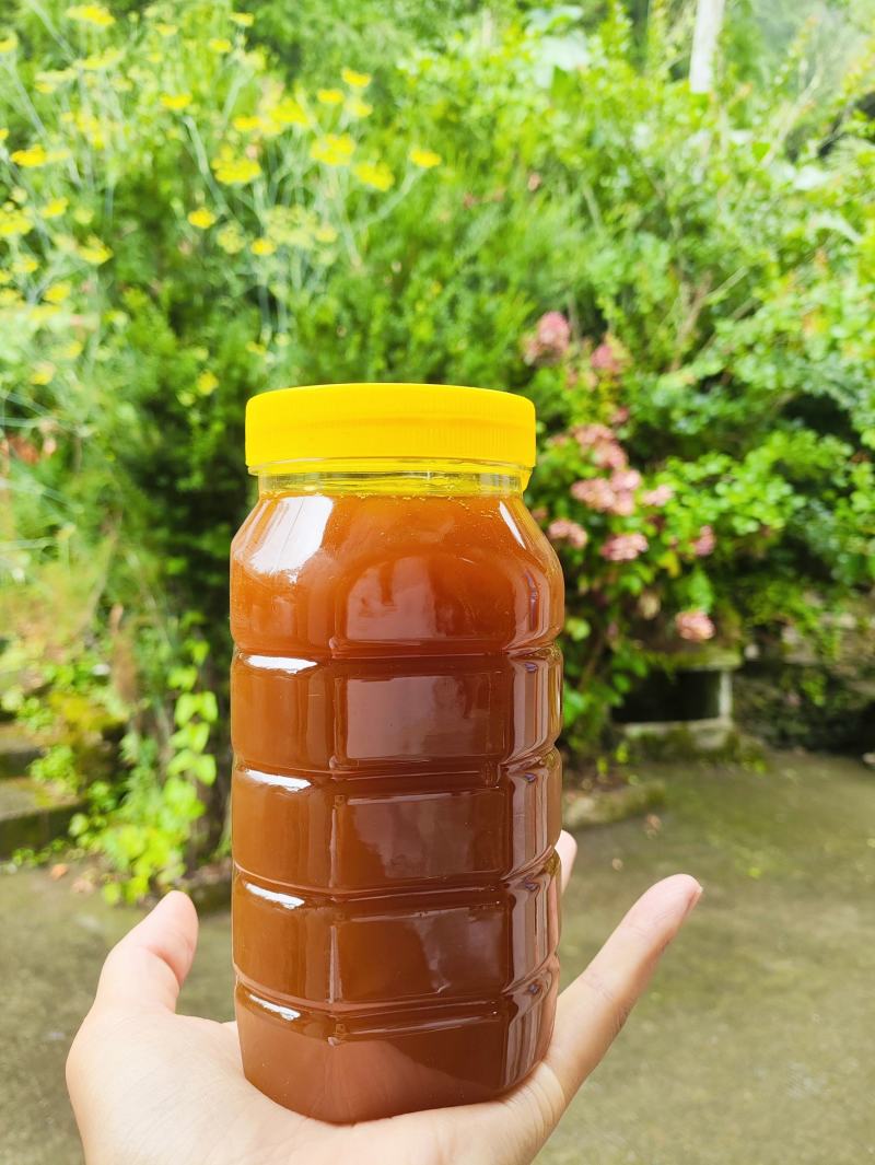 北川羌族高山野蜂蜜，放在深山老林的土蜂蜜