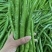 山东费县鲜辣椒芜湖椒货源充足，电商市场超市大量供应