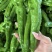 山东费县鲜辣椒芜湖椒货源充足，电商市场超市大量供应