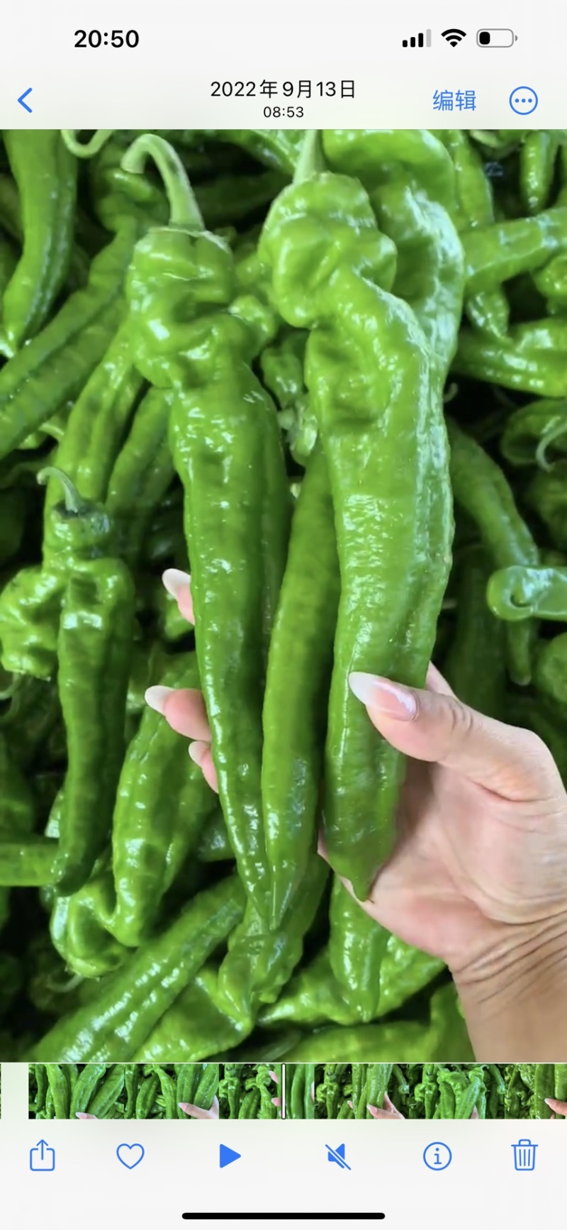 山东费县鲜辣椒芜湖椒货源充足，电商市场超市大量供应