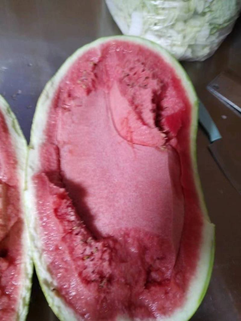 陕北沙漠瓜