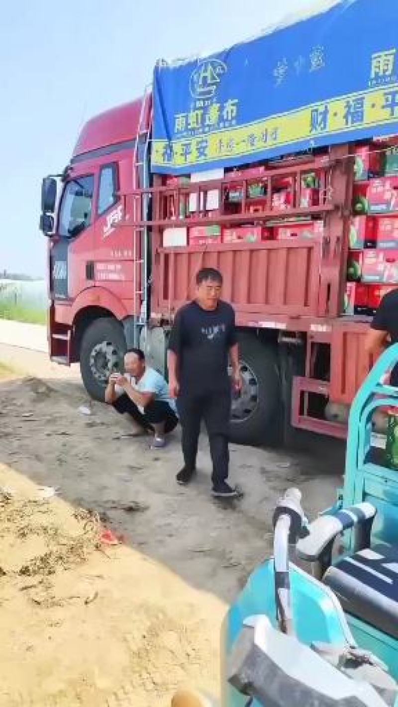 台农麒麟西瓜大量上市，价格便宜