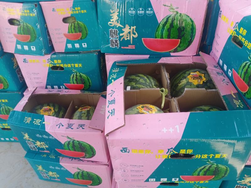 台农麒麟西瓜大量上市，价格便宜
