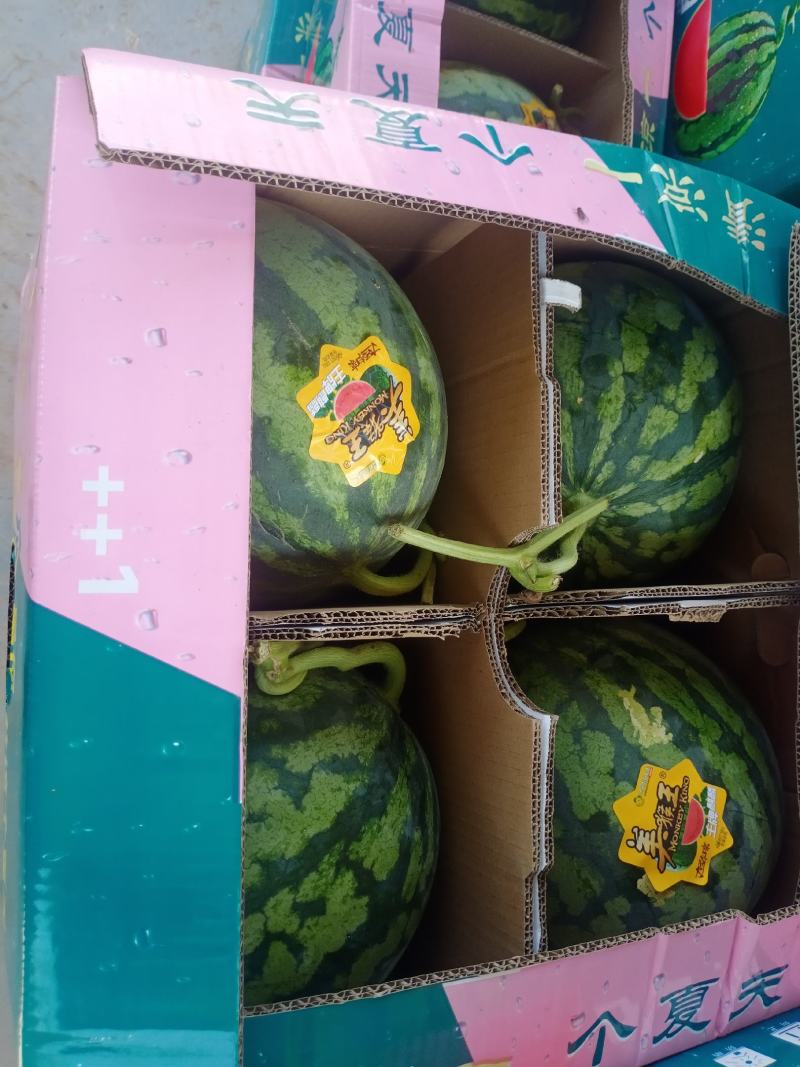 台农麒麟西瓜大量上市，价格便宜